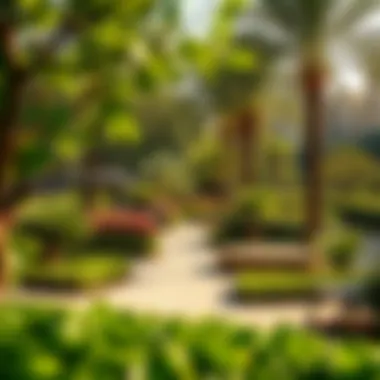 Vibrant Community Spaces in Acacia Community park and recreational areas in Acacia