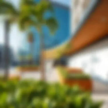 Leisure and Green Spaces in ADGM Square Green spaces and leisure areas within ADGM Square