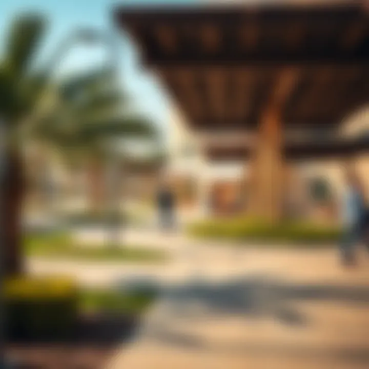 Amenities and Leisure in Al Shaab Village Local amenities and recreational areas in Al Shaab Village