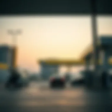 Economic Implications of Fuel Pricing Visual representation of the economic implications of fuel pricing