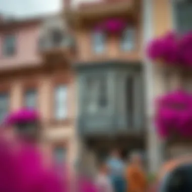 Historical Architecture in the City Historical architecture adorned with floral motifs