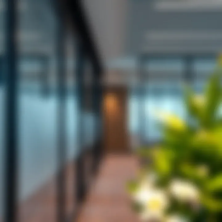 Innovative Partition Solutions for Workspaces Creative use of partitions for flexible workspace