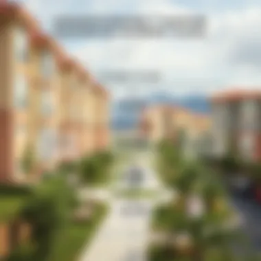 Overview of Danube Properties Payment Plans Infographic illustrating various payment plans offered by Danube Properties