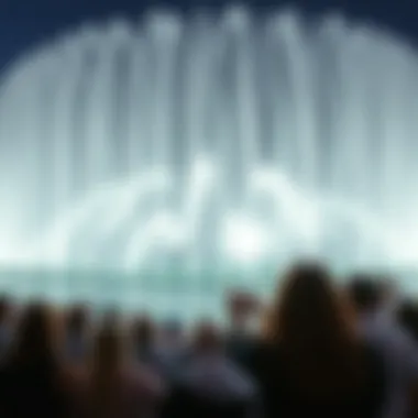 Audience enjoying the Dubai Fountain show