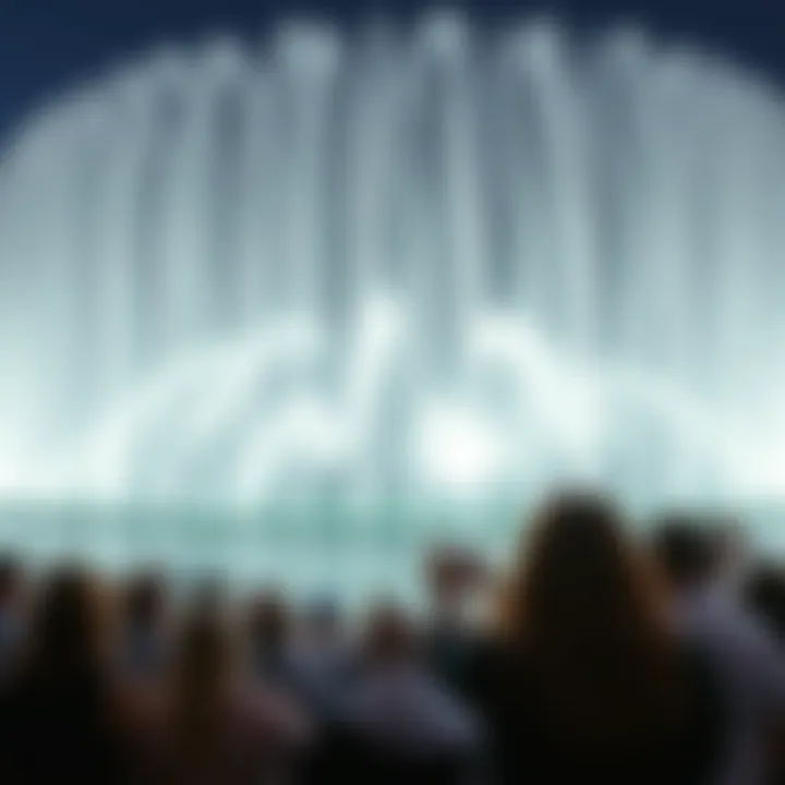 Audience enjoying the Dubai Fountain show