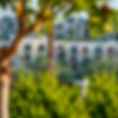 Scenic View of Emaar Accommodation Complex A scenic view of the Emaar accommodation complex surrounded by greenery