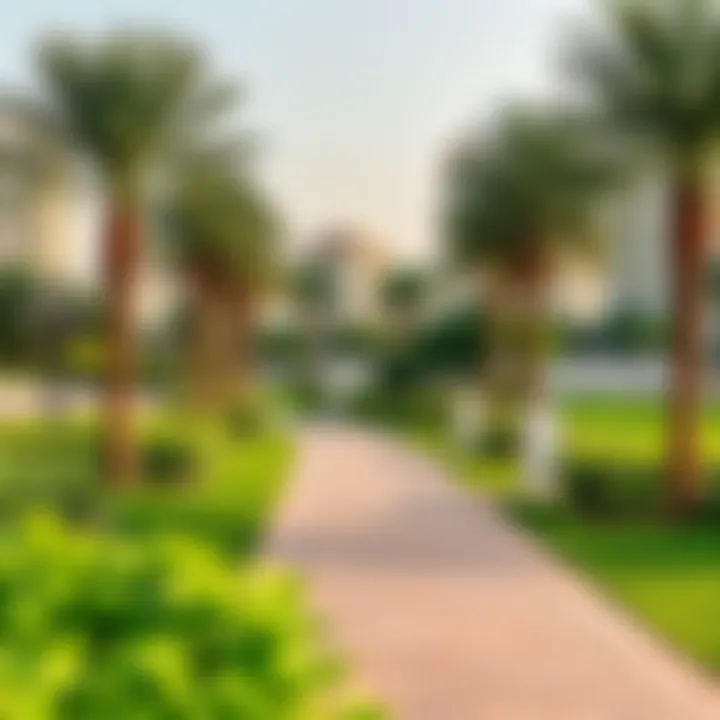Green Spaces: Community Parks in Al Nahda Al Nahda community park