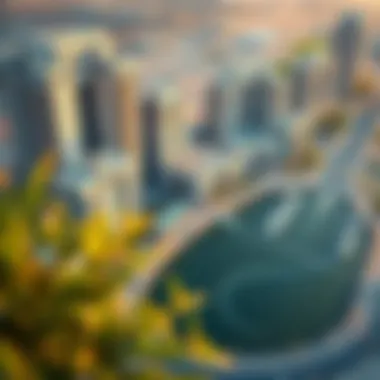 Diverse Property Options in Dubai An aerial view showcasing Dubai's diverse property options