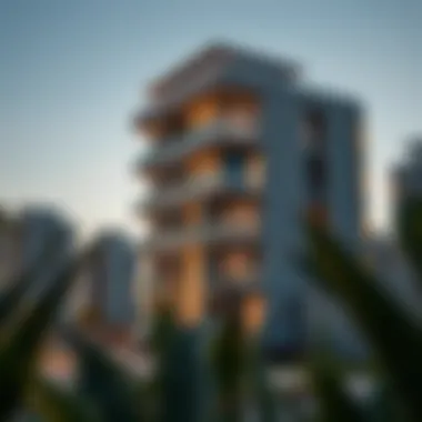 Affordable Modern Flats in Dubai A modern flat in a vibrant neighborhood of Dubai