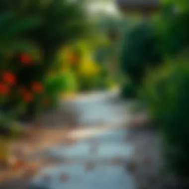 Walking Trails in Al Barari Park Walking trails surrounded by vibrant flora within Al Barari Park