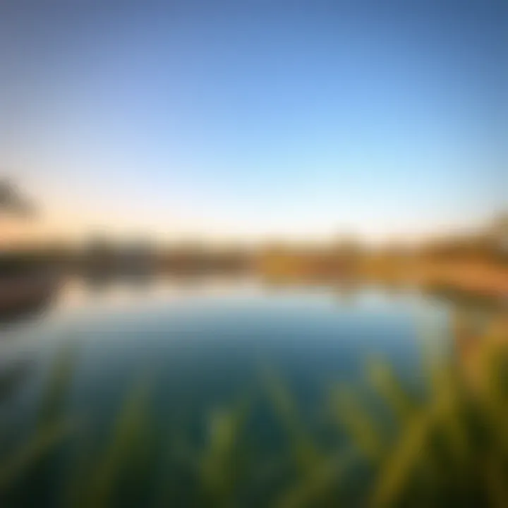 Serene Water Features in Al Barari Park Serene water features reflecting the natural landscape of Al Barari Park
