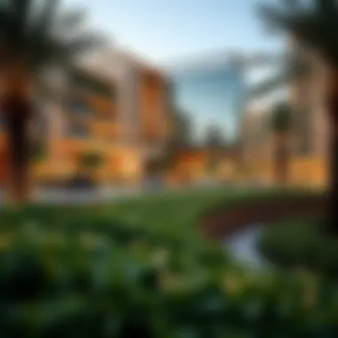 Impact of Al Safa Park on Local Real Estate View of Al Safa Park's impact on local real estate developments