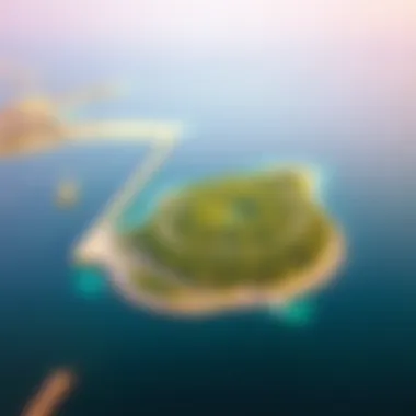 Aerial Beauty of Al Sinniyah Island Aerial view of Al Sinniyah Island showcasing its lush greenery and coastal beauty