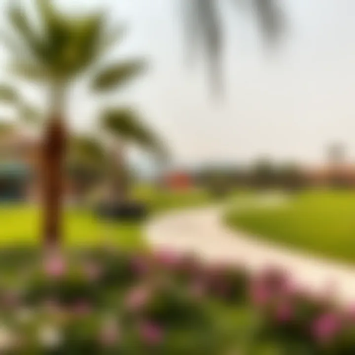 Recreational Spaces in Arabian Ranches Lush green landscape and recreational area in Arabian Ranches