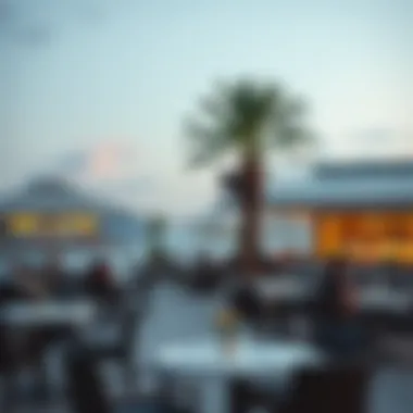 Beachfront Dining and Local Amenities at Barasti Beach Local amenities and beachfront dining experiences near Barasti Beach