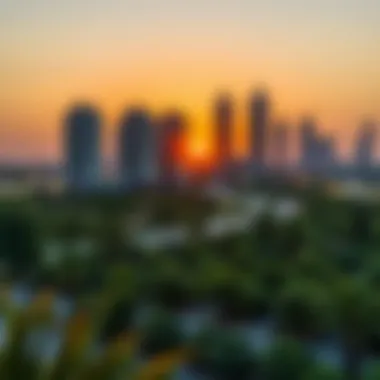 Stunning Sunset View Over Dubai's Green Spaces Stunning sunset view over Dubai's green spaces