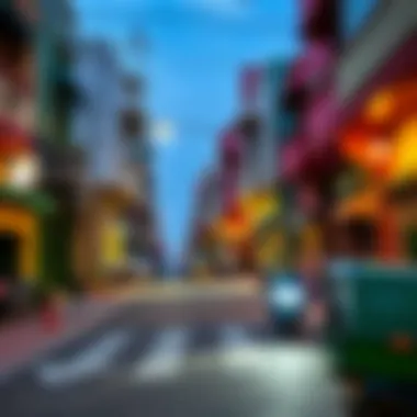 Vibrant streets showcasing Indian culture in Dubai