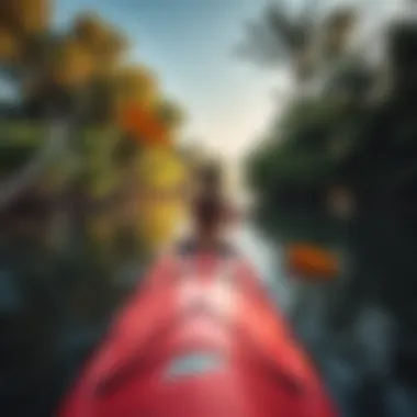 Exploring Mangroves by Kayak A kayaker navigating through the secluded waterways of Dubai's mangrove forests