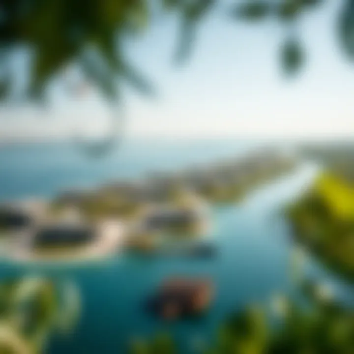 Sustainable Real Estate Near Mangroves Aerial view of real estate developments integrated with mangrove landscapes, highlighting sustainable design