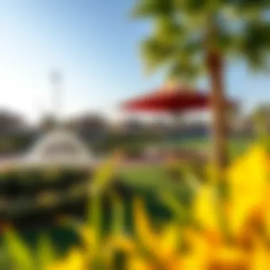 Community Amenities in Lantana Modern amenities in Lantana community including parks and recreational areas