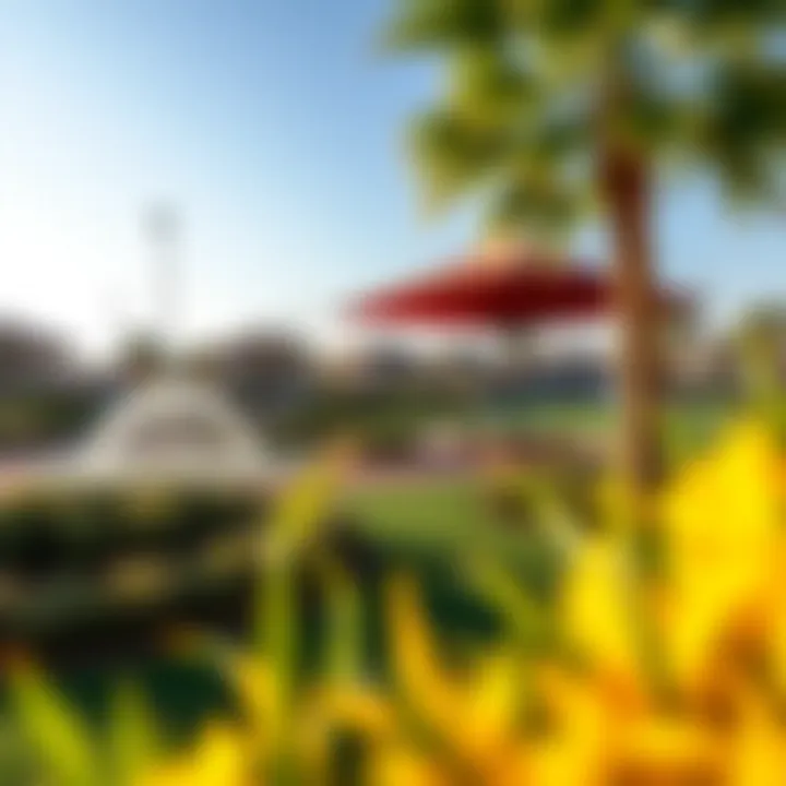 Community Amenities in Lantana Modern amenities in Lantana community including parks and recreational areas