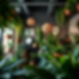 A lush plant studio showcasing various indoor plants