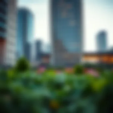 Architectural Marvels of Lincoln Park Architectural design features of Lincoln Park