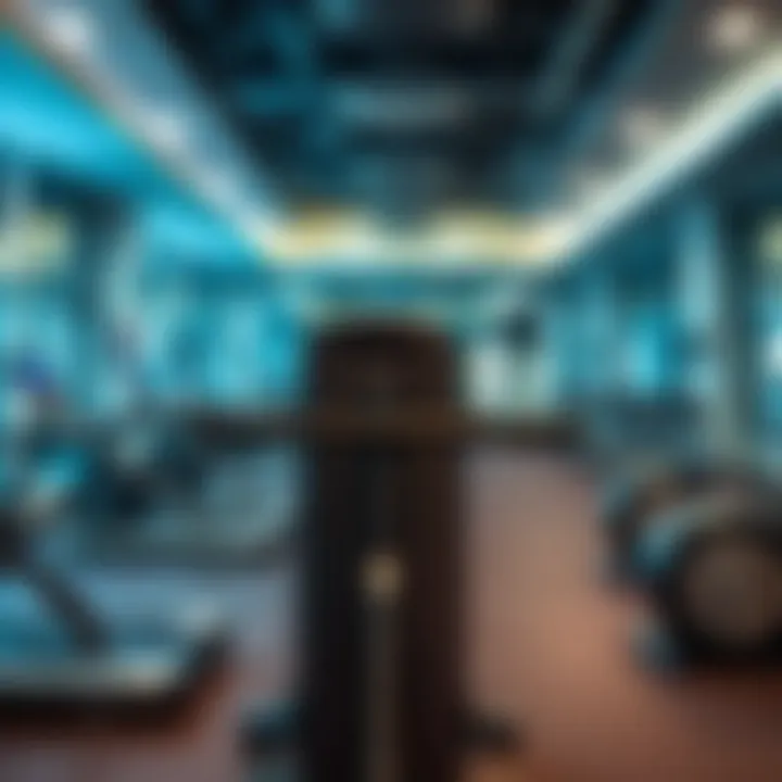 Diverse Fitness Equipment Diverse fitness equipment available at Muweilah Pool Gym