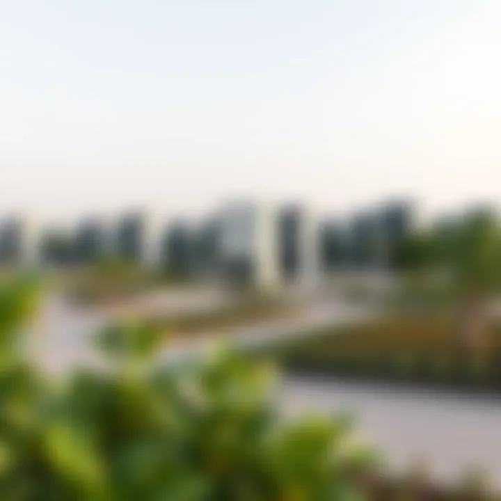 Amenities in Jumeirah Park Modern amenities available in Jumeirah Park including parks and recreational areas