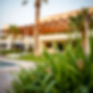 Amenities of International City Amenities available in the International City