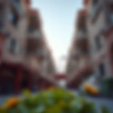 Fostering Peaceful Neighborly Relations Conceptual image of peaceful coexistence between neighbors