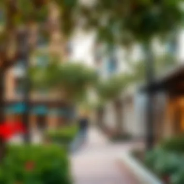 Community Insights of the Olivia Residences Area Vibrant community surrounding Olivia Residences with parks and shops