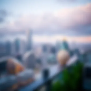 Stunning Skyline from Parklane Tower Panoramic skyline view from Parklane Tower's terrace