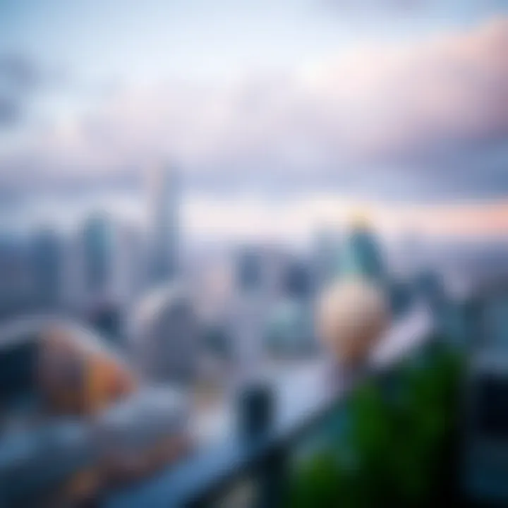 Stunning Skyline from Parklane Tower Panoramic skyline view from Parklane Tower's terrace