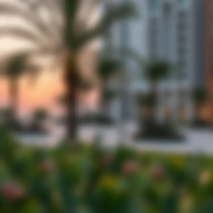 Vibrant Community Amenities at The Cove Vibrant community amenities including parks and recreational areas in The Cove