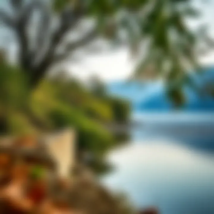 Ecological Beauty of the Danube A tranquil natural landscape alongside the Danube, showcasing its ecological richness.