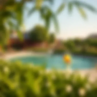 Recreational Amenities in Verona Damac Hills Recreational amenities surrounded by greenery in Verona Damac Hills